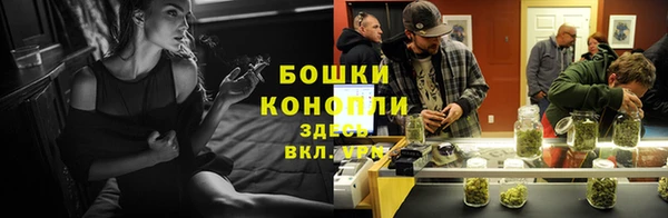 ешки Дмитров