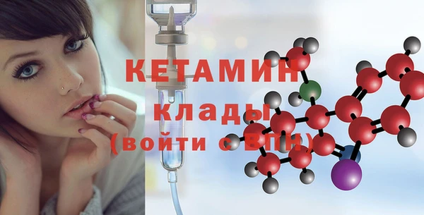 амф Дмитриев