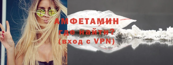 амф Дмитриев