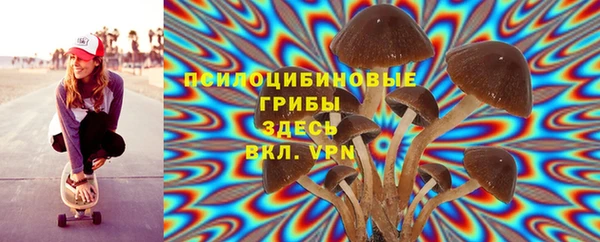амф Дмитриев