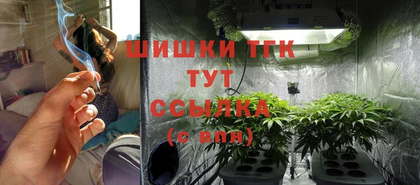 амф Дмитриев