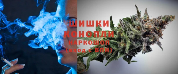 ECSTASY Дмитровск
