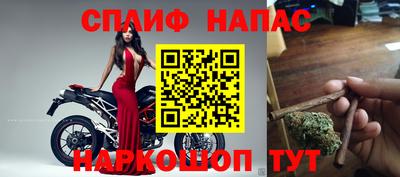 СК Донецк
