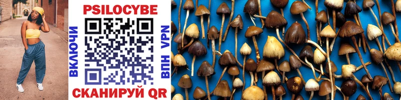 hydra ТОР  Звенигород  Псилоцибиновые грибы Magic Shrooms 
