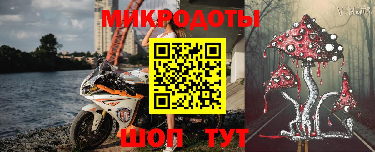 Псилоцибиновые грибы Psilocybine cubensis  Галлюциногенные грибы ЛСД  Звенигород  Вход с VPN 