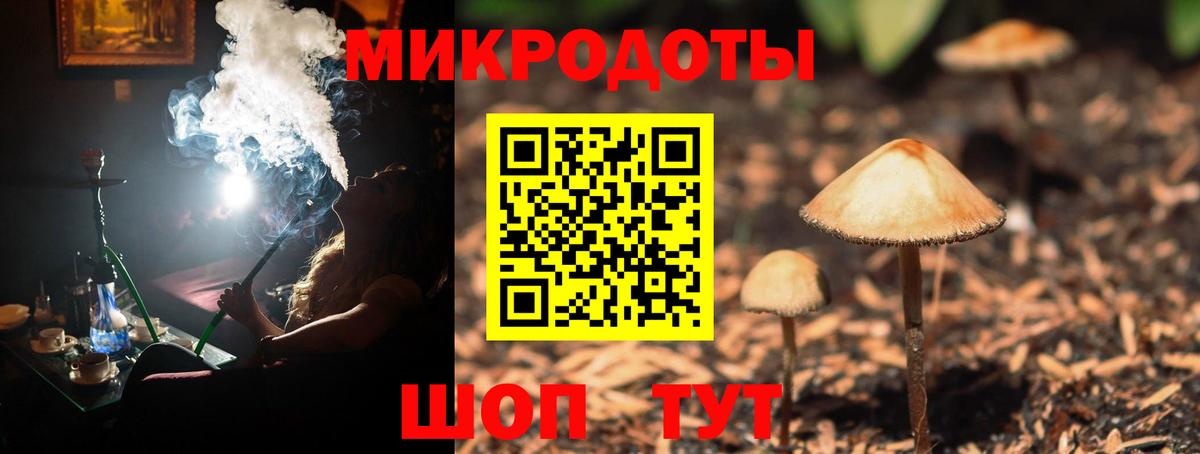 Псилоцибиновые грибы мухоморы Звенигород